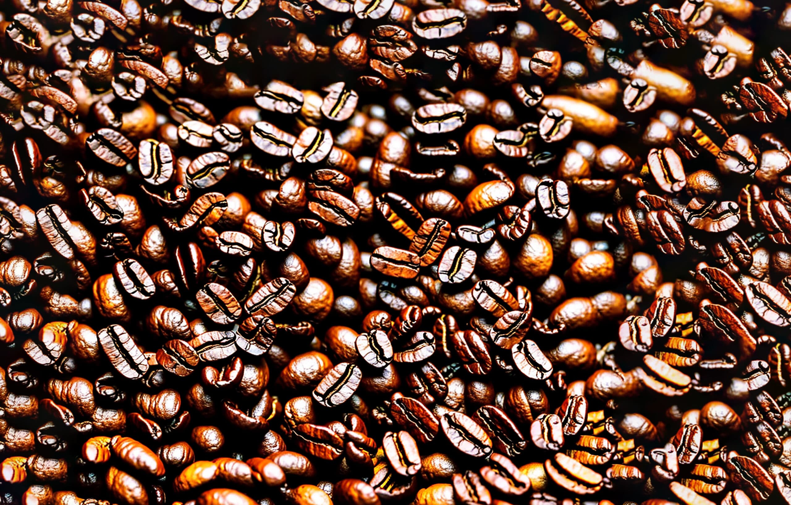 Passport Coffee